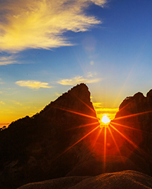 企業(yè)價(jià)值觀